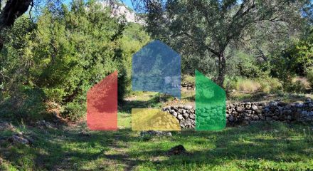 For Sale - Land 7606 m² in Corfu
