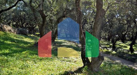 For Sale - Land 7606 m² in Corfu