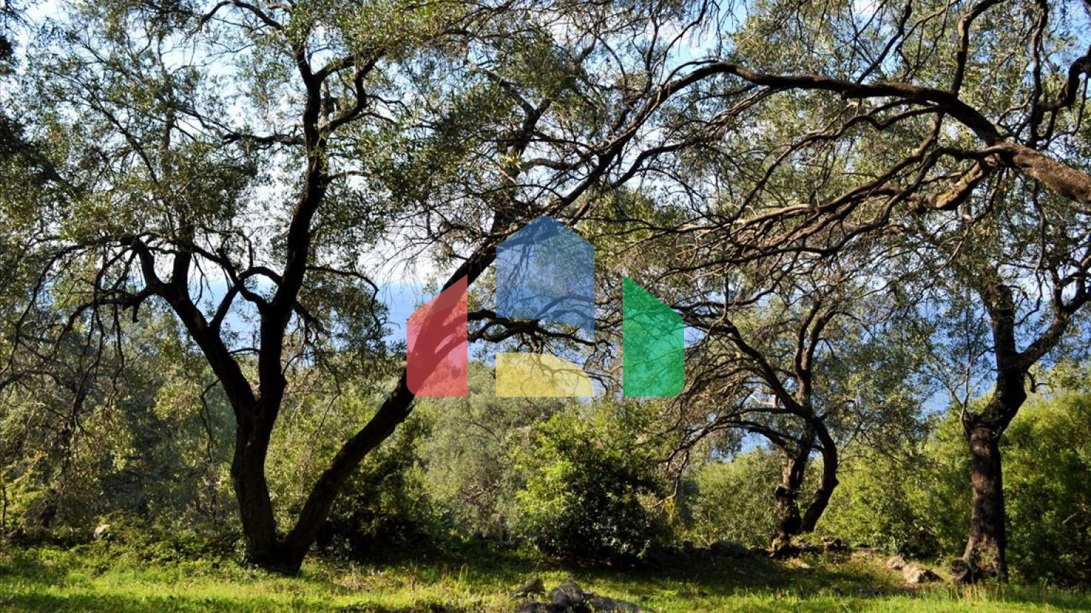 Продажа - Земельный участок 7606 m² на о. Корфу