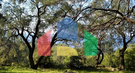 Продажа - Земельный участок 7606 m² на о. Корфу