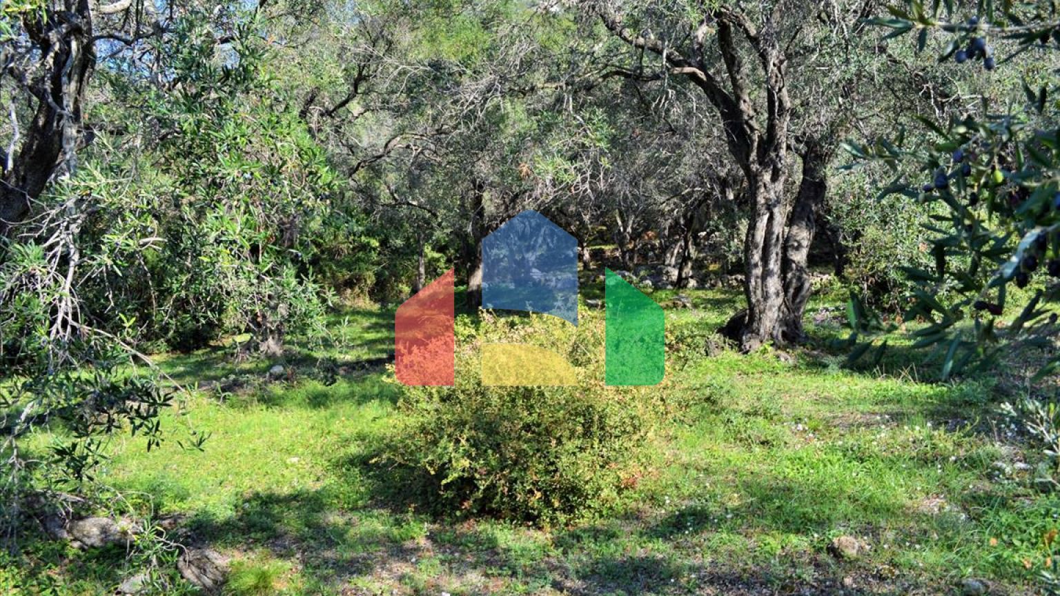 Продажа - Земельный участок 7606 m² на о. Корфу