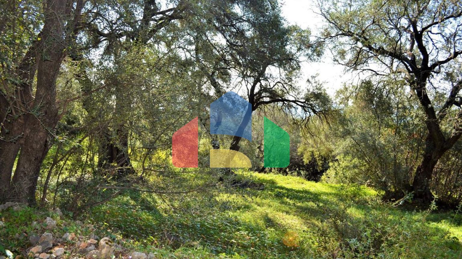 Продажа - Земельный участок 7606 m² на о. Корфу