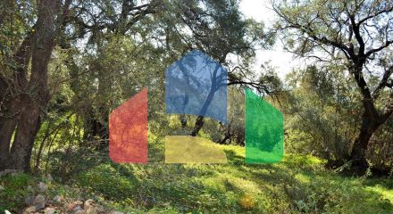 Продажа - Земельный участок 7606 m² на о. Корфу