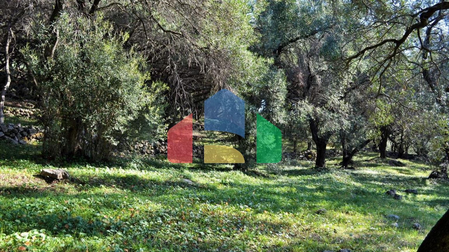 Продажа - Земельный участок 7606 m² на о. Корфу