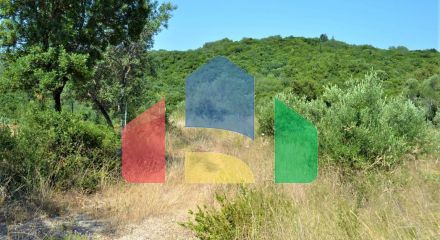 For Sale - Land 5000 m² in Corfu