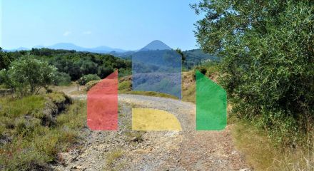 For Sale - Land 5000 m² in Corfu