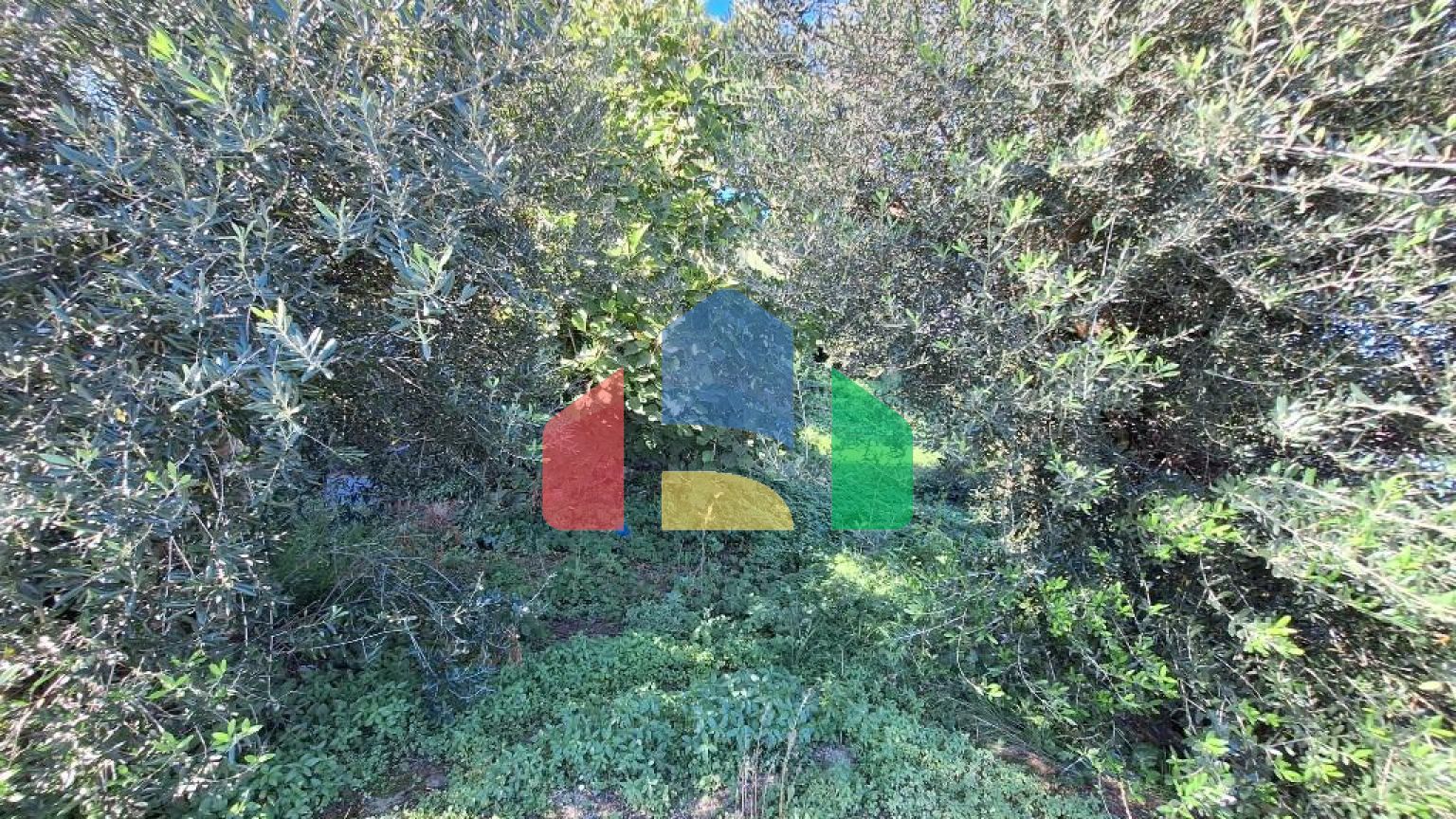 Продажа - Коттедж 128 m² на о. Корфу