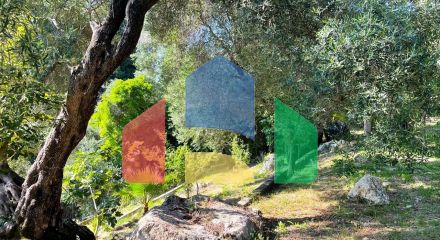 Продажа - Коттедж 209 m² на о. Корфу