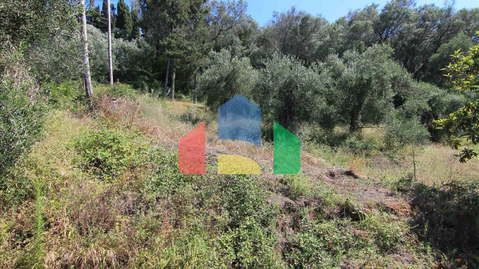 Продаж - Готель 480 m² на о. Корфу