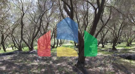 Продаж - Земельна ділянка 8000 m² на о. Корфу