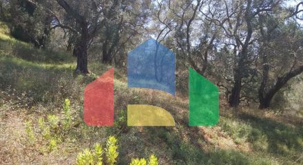 Продажа - Земельный участок 4800 m² на о. Корфу