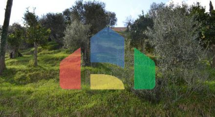 For Sale - Land 2050 m² in Corfu