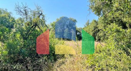 For Sale - Land 2500 m² in Corfu