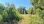 For Sale - Land 2500 m² in Corfu