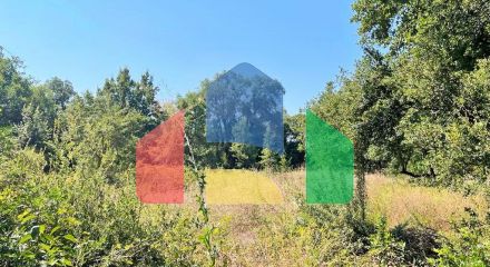 For Sale - Land 2500 m² in Corfu