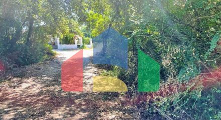 For Sale - Land 2500 m² in Corfu