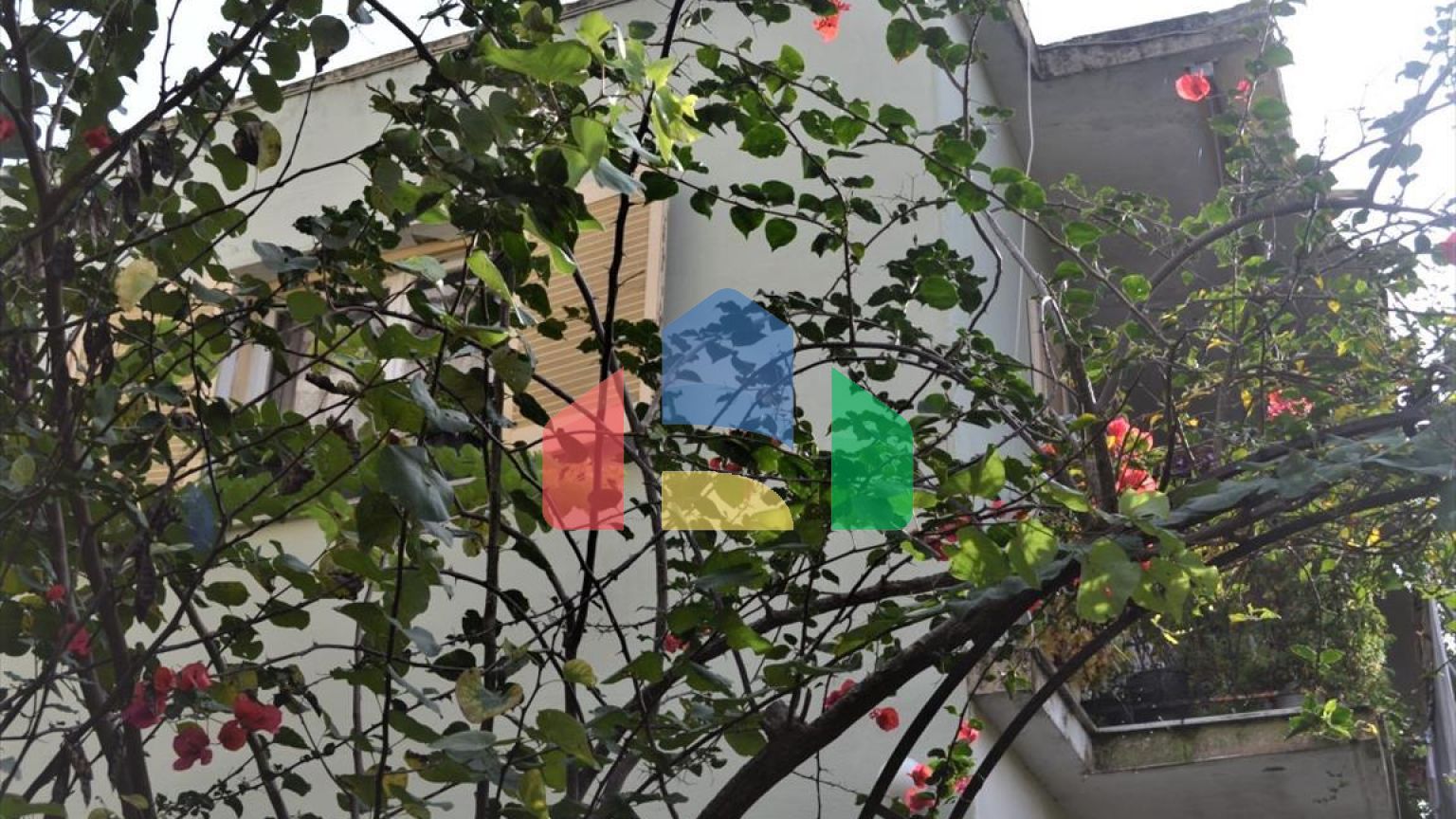 Продаж - Котедж 365 m² на о. Корфу