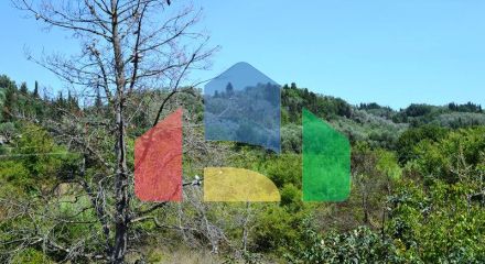 Продаж - Котедж 400 m² на о. Корфу