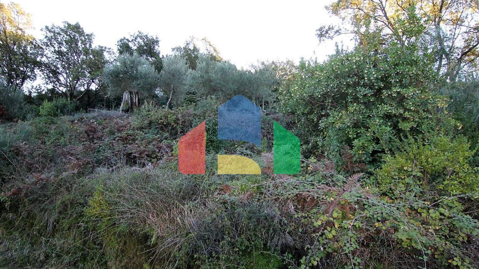 Продажа - Земельный участок 5000 m² на о. Корфу