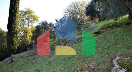 Продажа - Коттедж 164 m² на о. Корфу