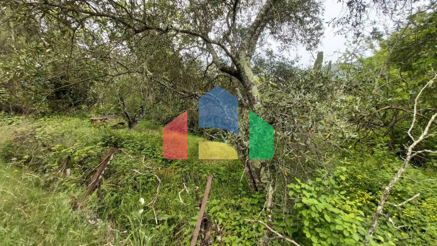 Продаж - Котедж 40 m² на о. Корфу