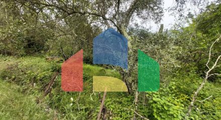 Продаж - Котедж 40 m² на о. Корфу