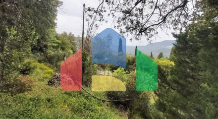 Продаж - Котедж 40 m² на о. Корфу