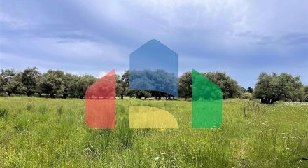 Продажа - Земельный участок 4000 m² на о. Корфу