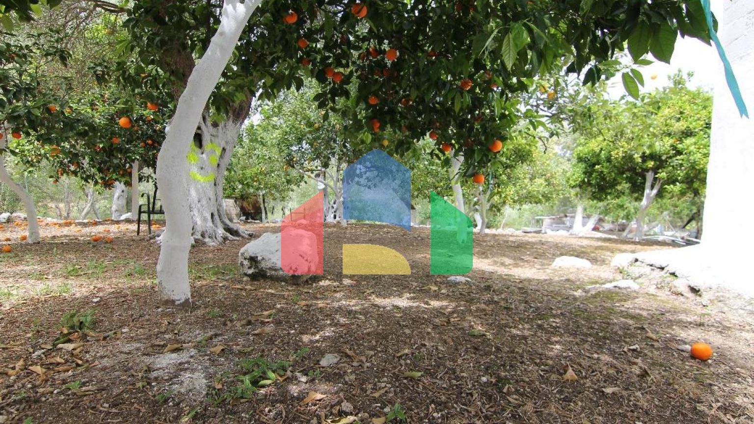 Продажа - Коттедж 200 m² на о. Корфу