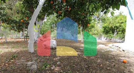 Продажа - Коттедж 200 m² на о. Корфу