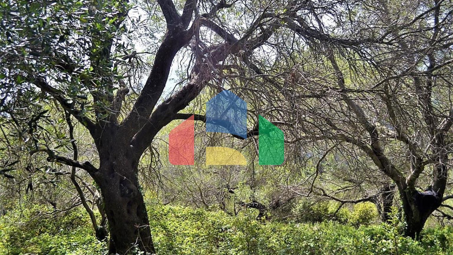 Продажа - Земельный участок 2500 m² на о. Корфу