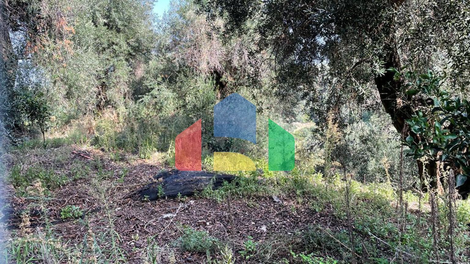 Продажа - Земельный участок 3000 m² на о. Корфу