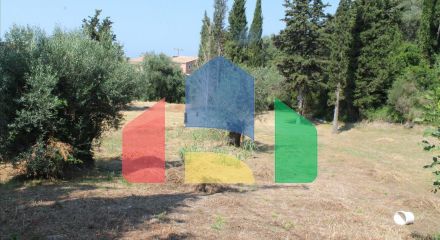 For Sale - Land 2500 m² in Corfu