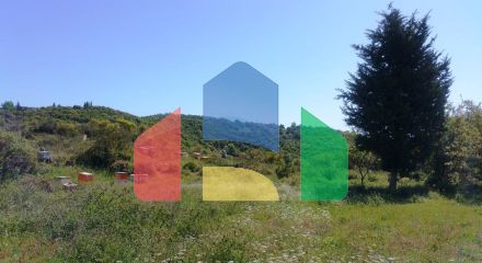 Продажа - Земельный участок 9375 m² на о. Корфу