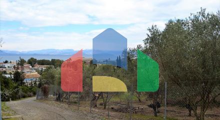 For Sale - Land 21000 m² in Corfu