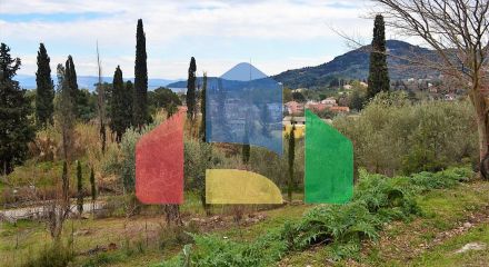 For Sale - Land 21000 m² in Corfu