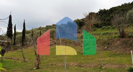 Продажа - Земельный участок 21000 m² на о. Корфу