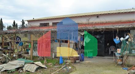 Продажа - Земельный участок 21000 m² на о. Корфу