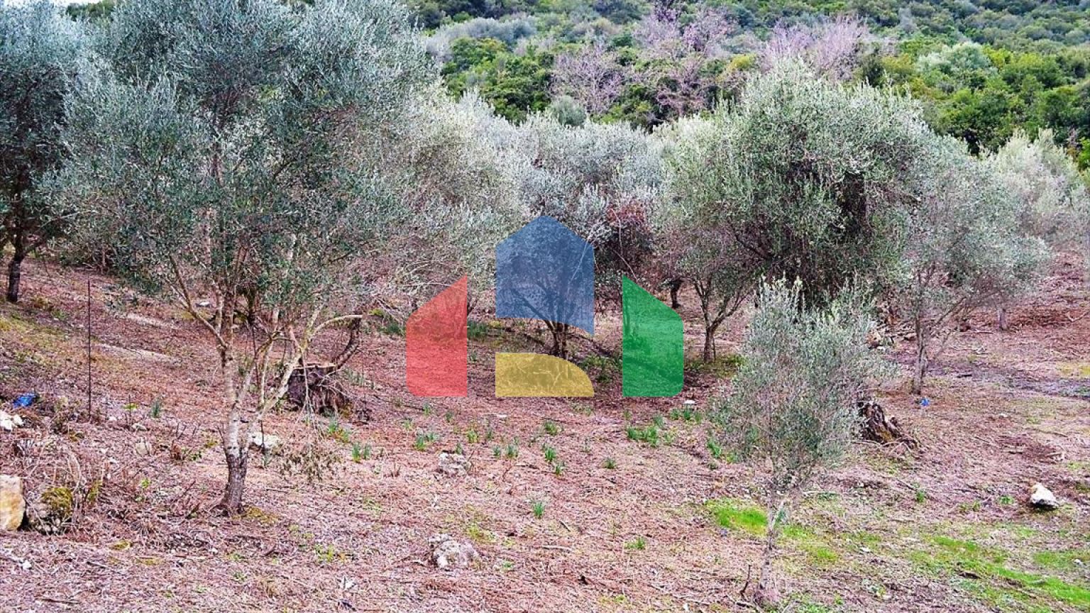 Продажа - Земельный участок 21000 m² на о. Корфу