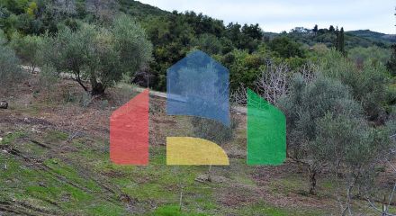 Продажа - Земельный участок 21000 m² на о. Корфу