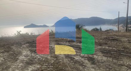 Продаж - Земельна ділянка 10025 m² на о. Корфу