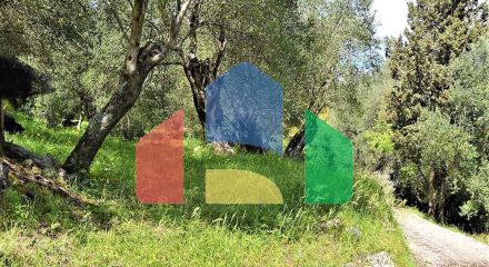 Продаж - Земельна ділянка 4000 m² на о. Корфу