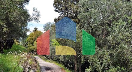 Продаж - Земельна ділянка 4000 m² на о. Корфу