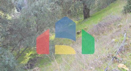 For Sale - Land 4420 m² in Corfu