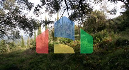 Продаж - Земельна ділянка 40000 m² на о. Корфу