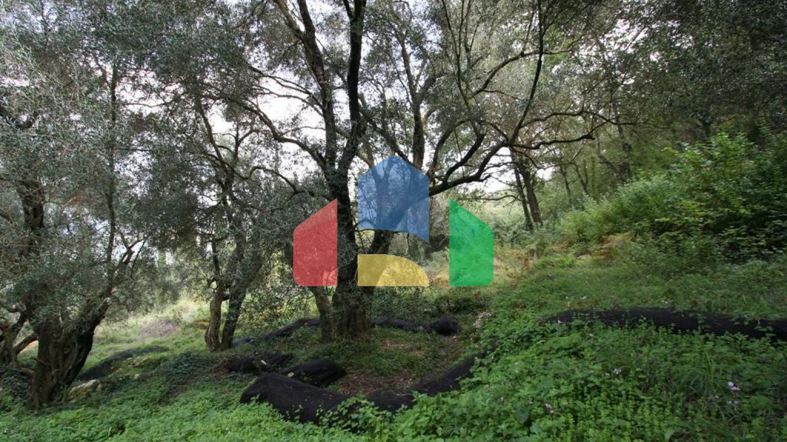 Продаж - Земельна ділянка 40000 m² на о. Корфу