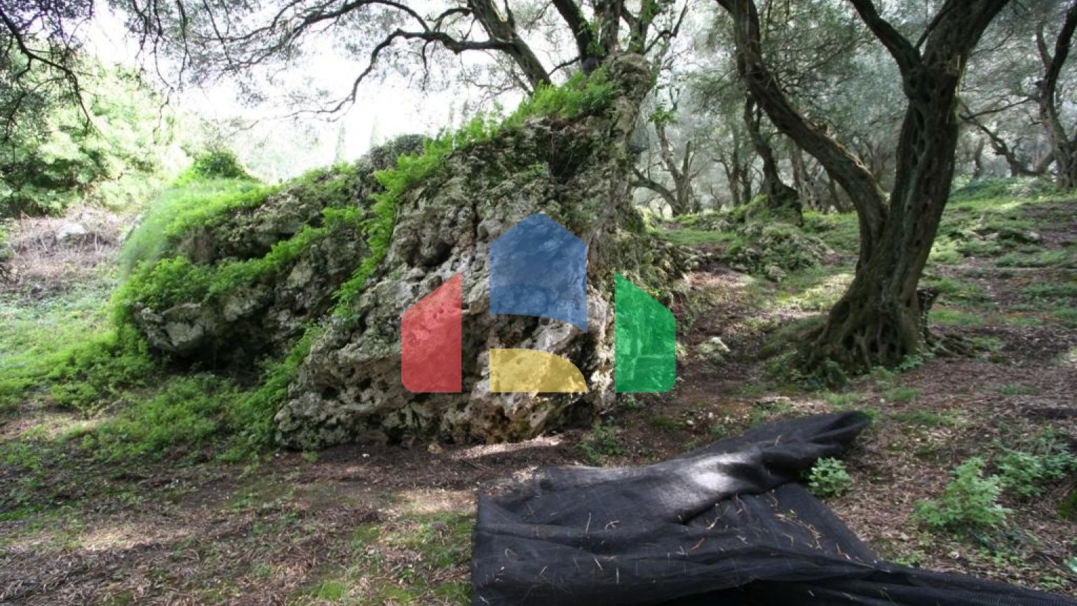 Продаж - Земельна ділянка 40000 m² на о. Корфу