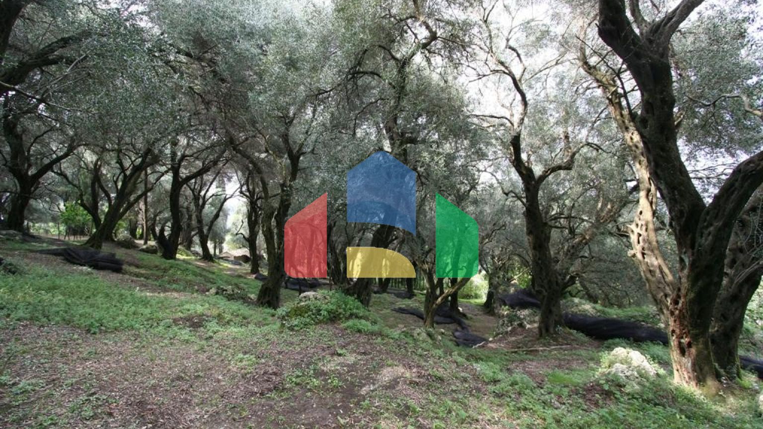 Продаж - Земельна ділянка 40000 m² на о. Корфу