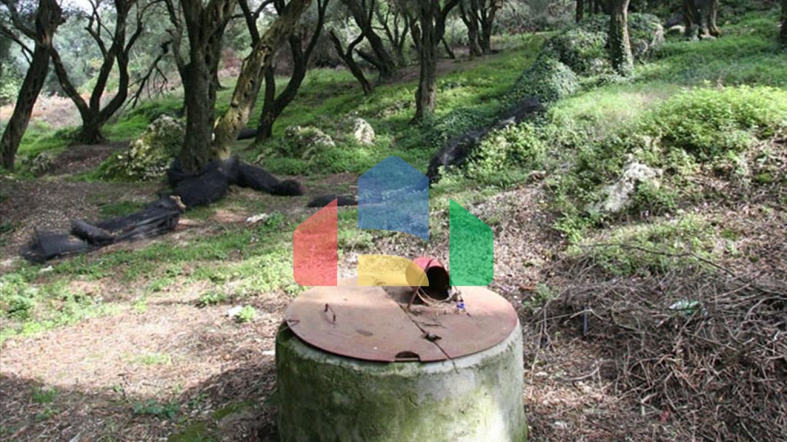 Продаж - Земельна ділянка 40000 m² на о. Корфу