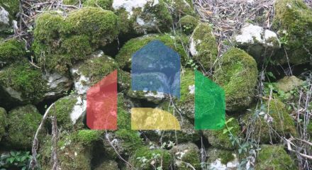 Продаж - Земельна ділянка 40000 m² на о. Корфу